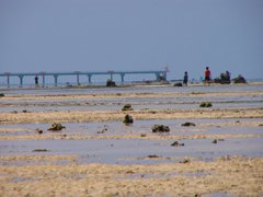 佐和田の浜