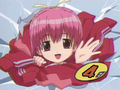 キクちゃんの謎のカウントダウンコーナー「あと４日」